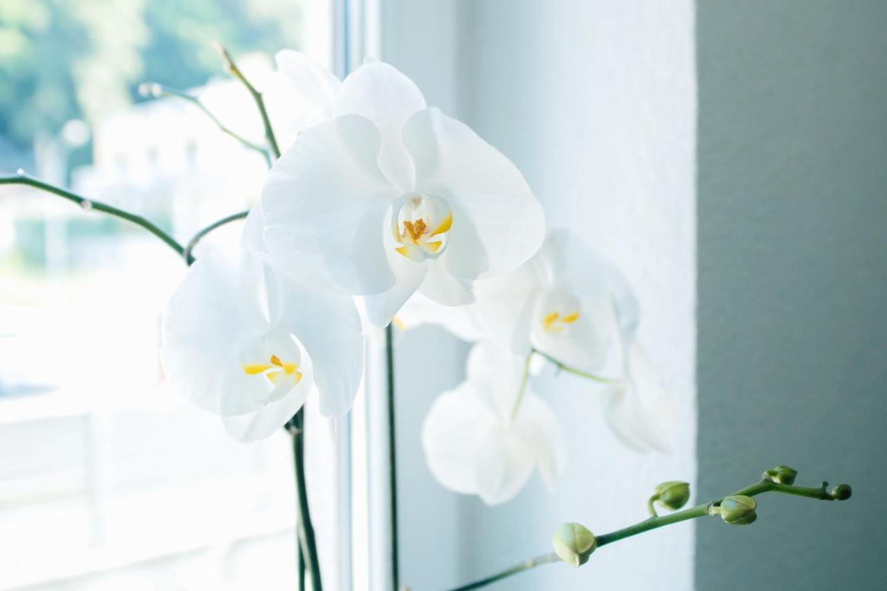 Rooms 73 - Helga Bartos เพิร์ทชาค อัม เวิร์ทเทอร์ซี ภายนอก รูปภาพ